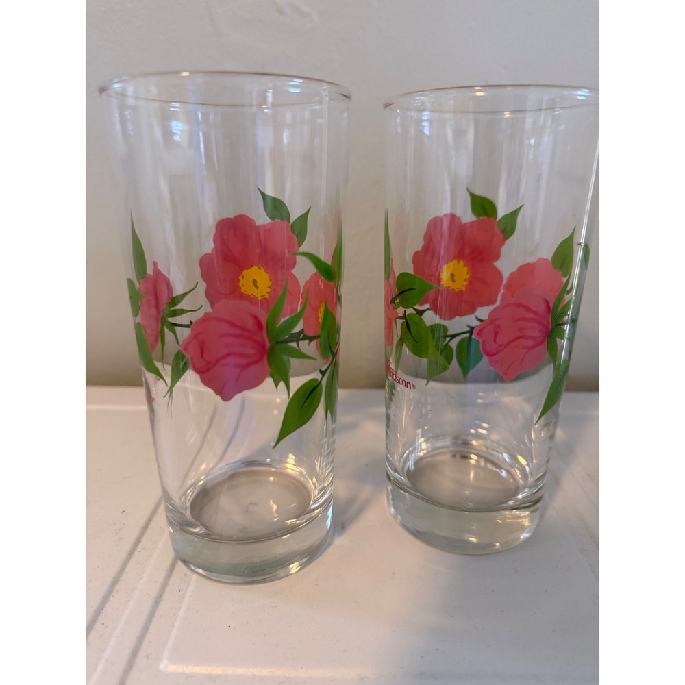 Franciscan Desert Rose Highball Glasses 2 Vintage Pink Floral bohowhimsi cottage